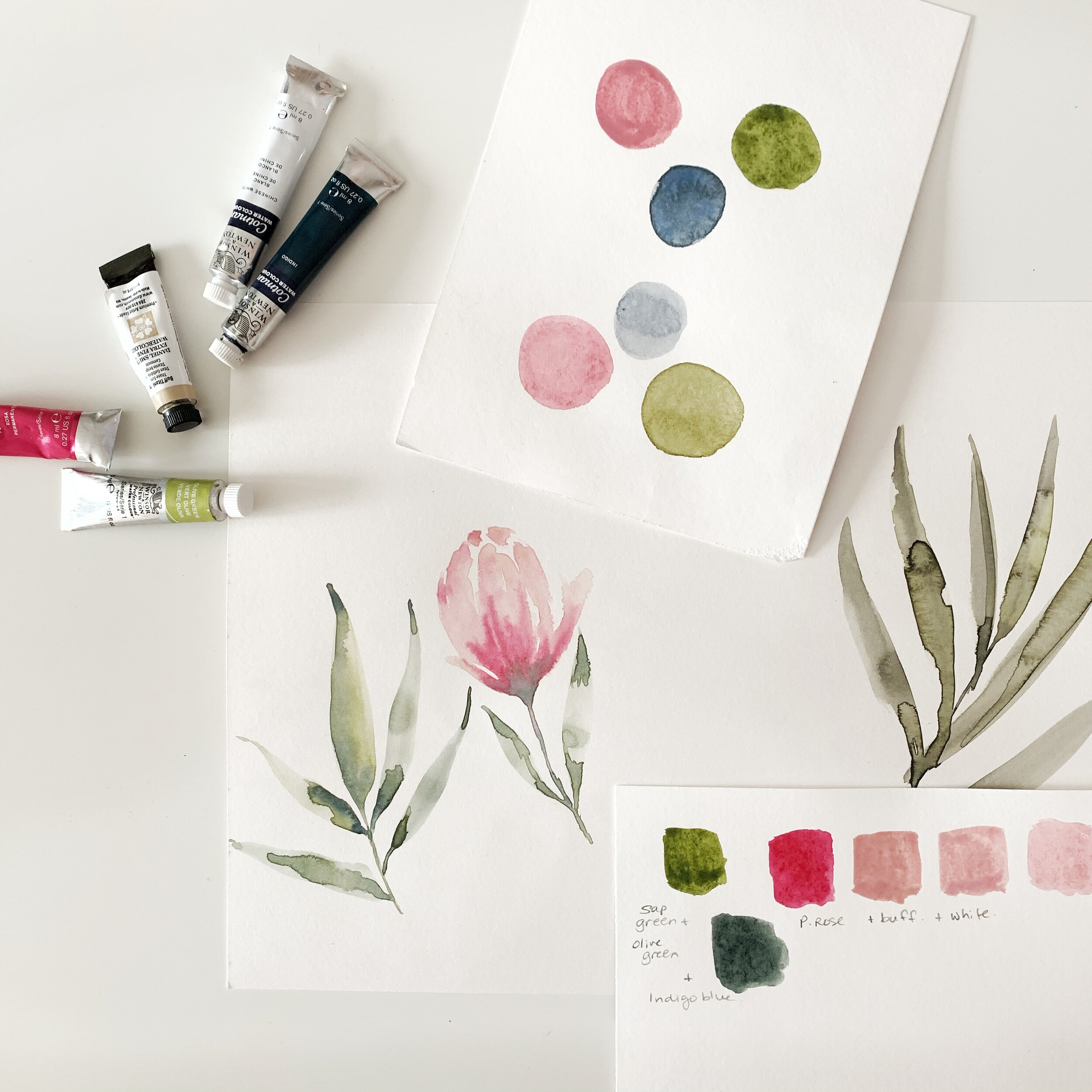 Modern Watercolor for Beginners is open! — Nicki Traikos, life i design